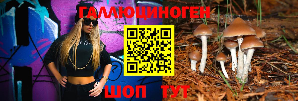 Псилоцибиновые грибы ЛСД Углич